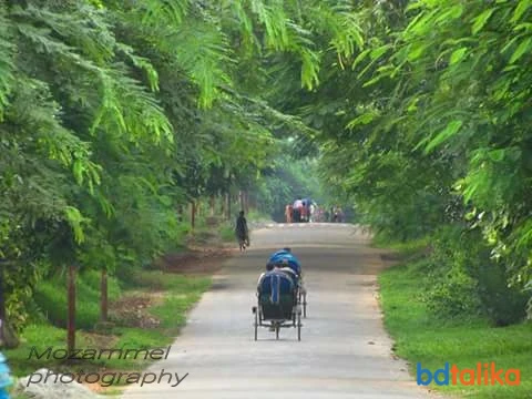 Mozammel Haque Photography