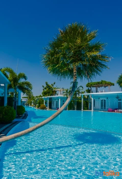 SP Swimming Pool and Fountain
